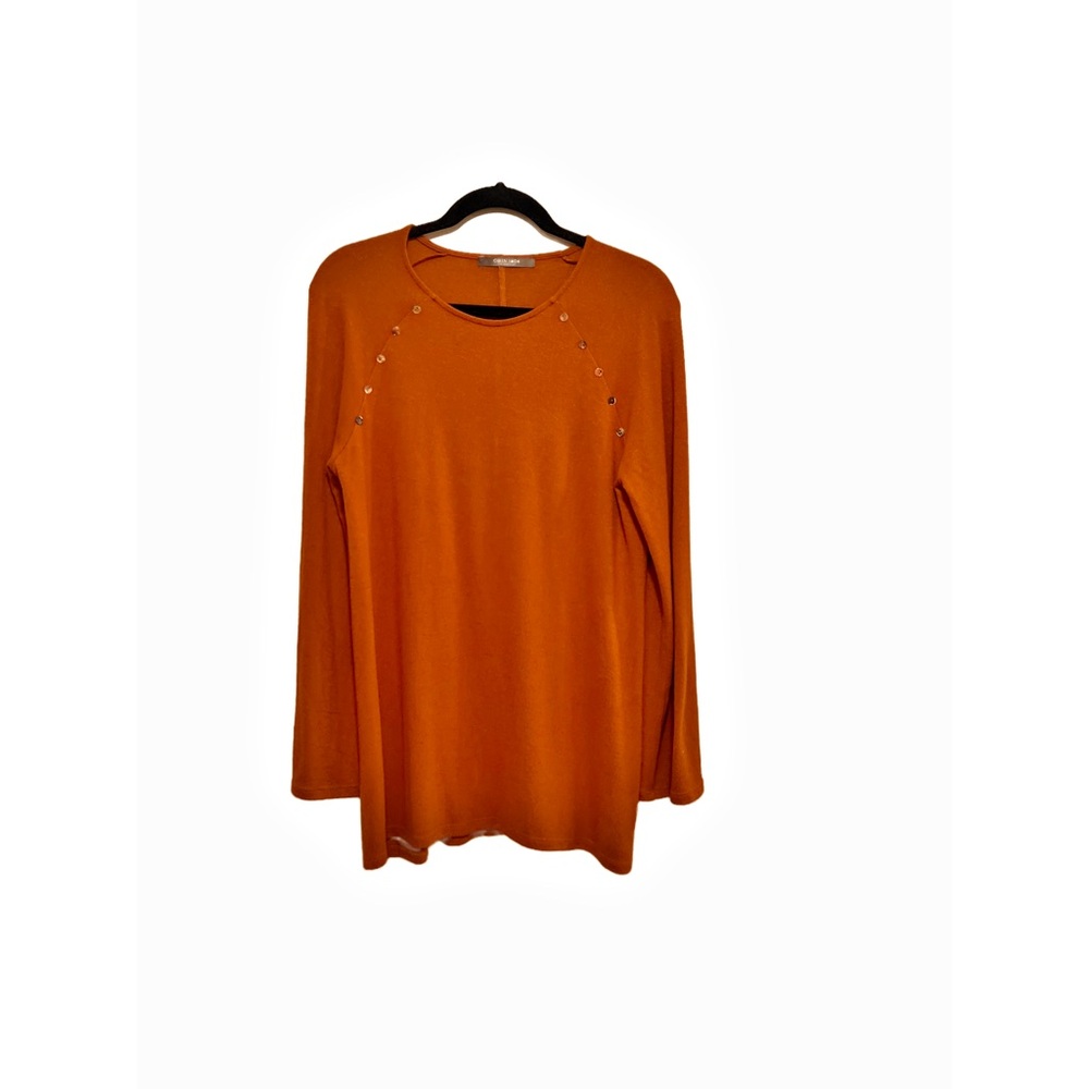 Chic Long Raglan Sleeve Top in Vibrant Burnt Orange
